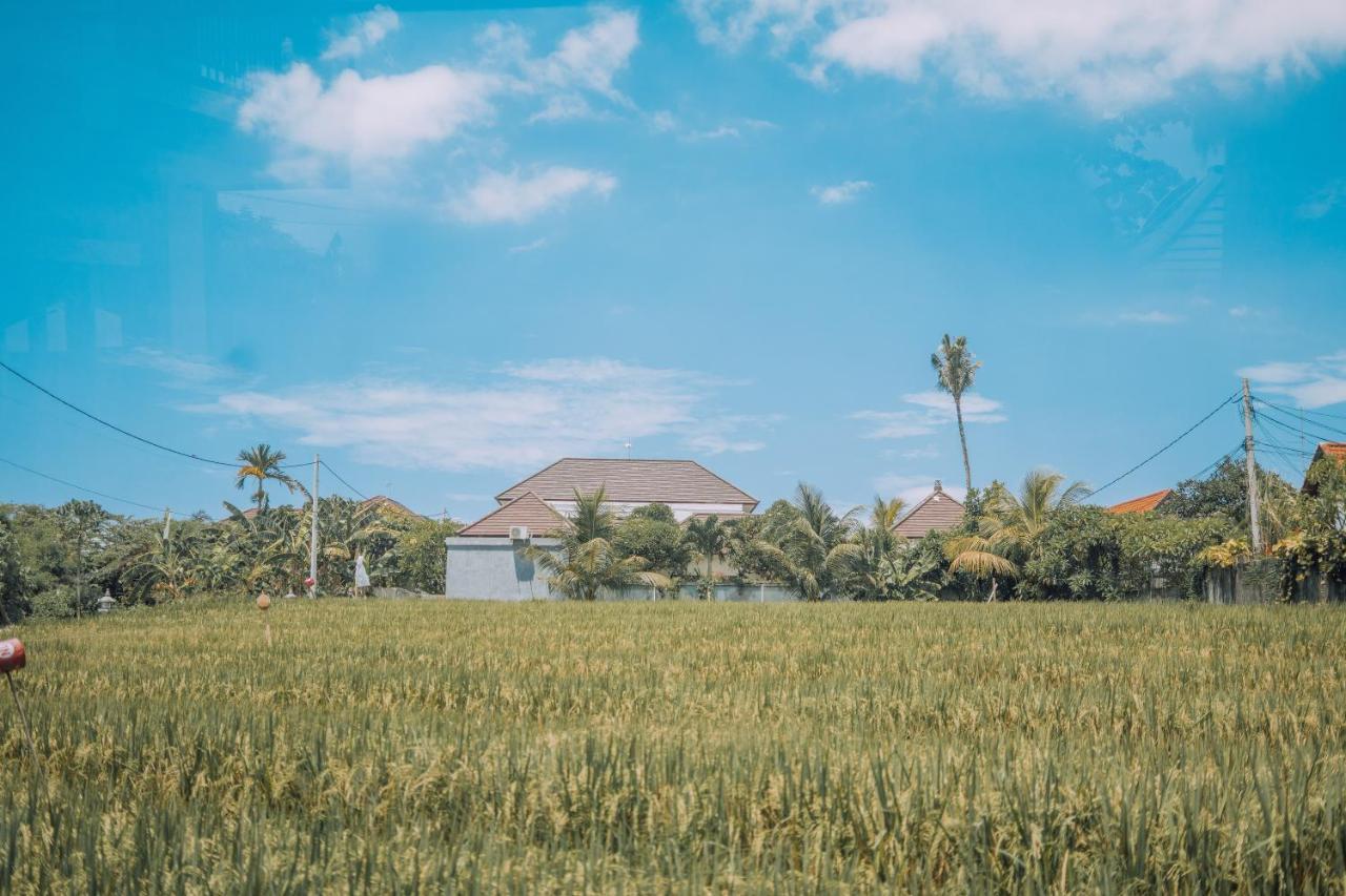 Gajah Villa By Betterplace Canggu Buitenkant foto