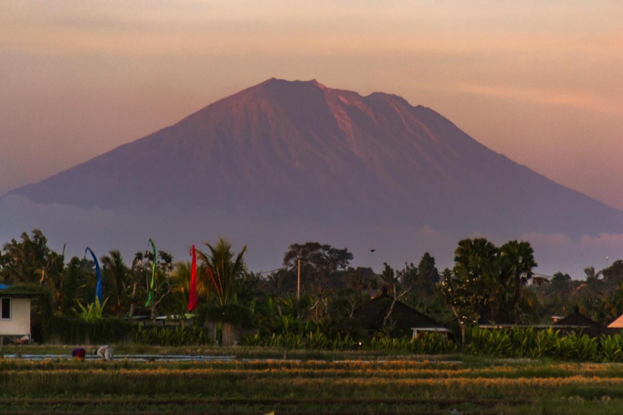 Gajah Villa By Betterplace Canggu Buitenkant foto